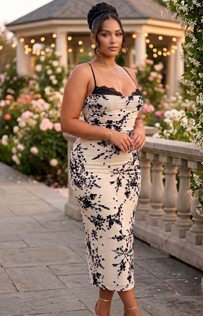 Noir Elegance Mesh & Lace Velvet Midi Dress