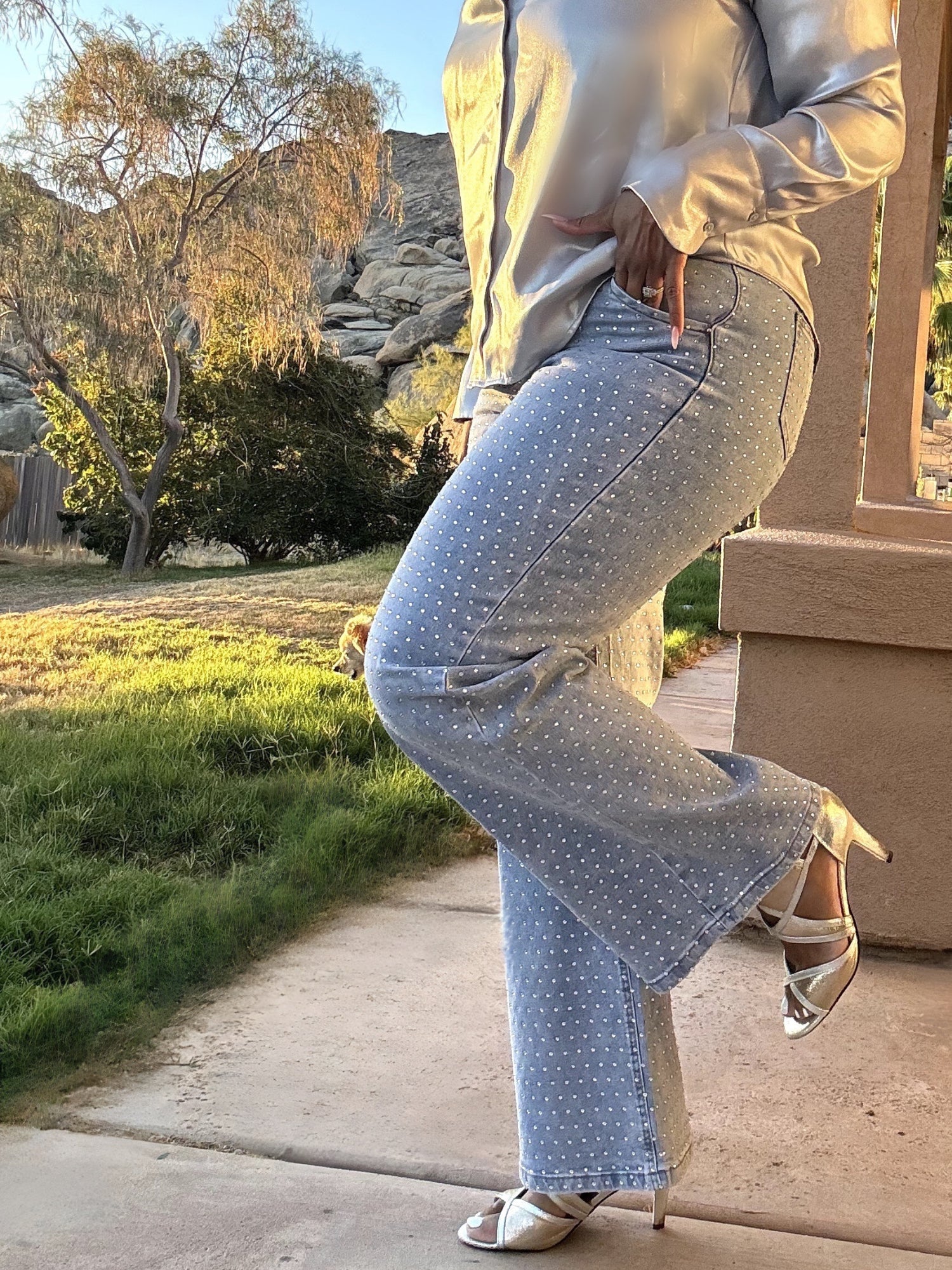 Plus  Denim Glam Bootcut Jeans image 0